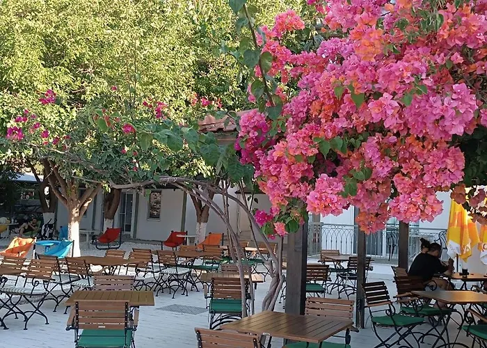 Dut Selimiye Hotell *